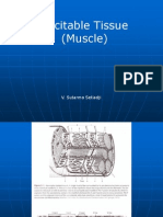 Excitable Tissue (Muscle) : V. Sutarmo Setiadji