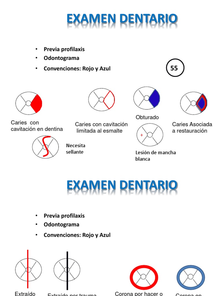 odontograma-1