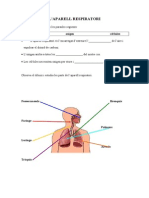 Dossier Respiratori