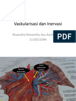 Vaskularisasi Dan Inervasi