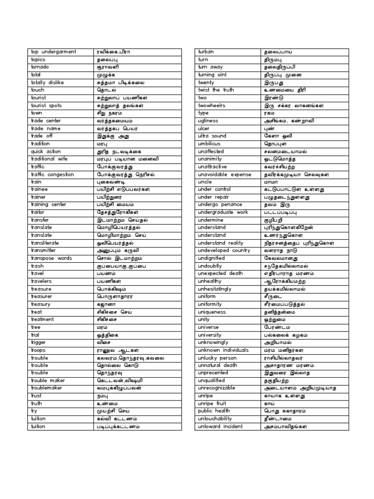 TamilEnglish Dictionary PDF