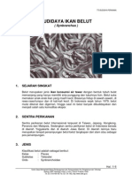 Download Budidaya Belut by petoeah SN2277055 doc pdf