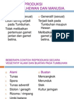 Sistem Reproduksi Tumbuhan Dan Hewan