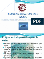 Contaminacion Del Agua [Autoguardado]