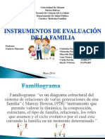 06 Instrumentos de Evaluación de La Familia