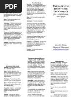 Download Breathing Brochure II by Lisa B Minn SN22774091 doc pdf