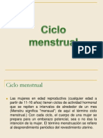 Desarrollo Prenatal