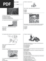 Simulado Avalia Bh Ciências - 2ºs 2013 4º Ano