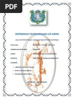 sucesiones trabajo.docx