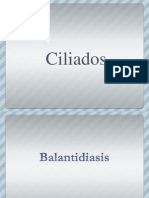 Cilia Dos