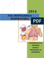 PAE IRC