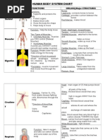 Overview of Human Body Systems | PDF | Human Body | Lung