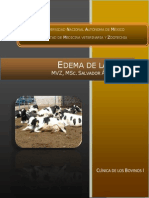 Edema - de - La - Ubre en Version PDF