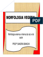 2Aula - Morfologia Vegetal