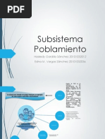 OT Subsistema Poblamiento