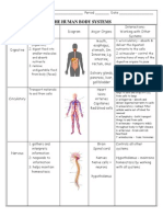 Body System Study Sheet