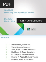 Shu-Ha-Ri: Measuring Agile Adoption Maturity