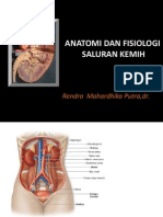 Anatomi Dan Fisiologi Saluran Kemih-stikes