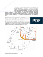 Urea Cycle