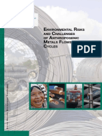 Environmental Risks and Challenges of Anthropogenic Metals Flows and Cycles 