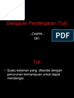 Gangguan Pendengaran (Tuli)