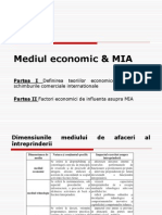 800-Curs 6 MAI Mediul Economic Nou