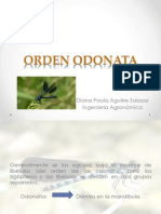 Odonata