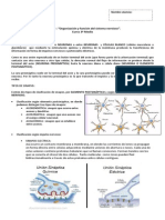 Módulo Sinapsis