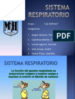 Sistema Respiratorio - Exposición Grupal