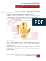 7.5.tratamiento_fisioterapeutico_de_les_seccione_de_los_tendones_flexores.pdf