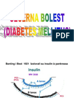 Diabetesmellitusseminar 2008a