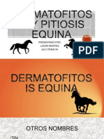 Dermatofitosis y Pitiosis Equina