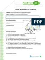 CIENCIAS7 Clase23 Mayo Experimentando Con La Combustion