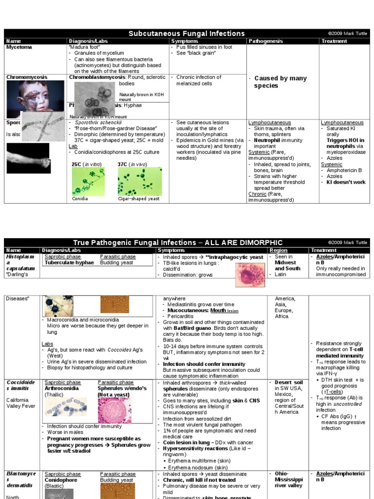 Subcutaneous Fungal Infections Overview | PDF | Microbiology ...