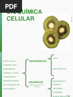 Bioquímica Celular - Aula CRB