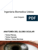 Anatomia Globo Ocular1146