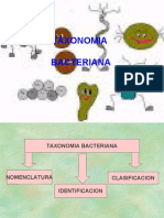 Clasificacionbacteriana 110227231643 Phpapp01