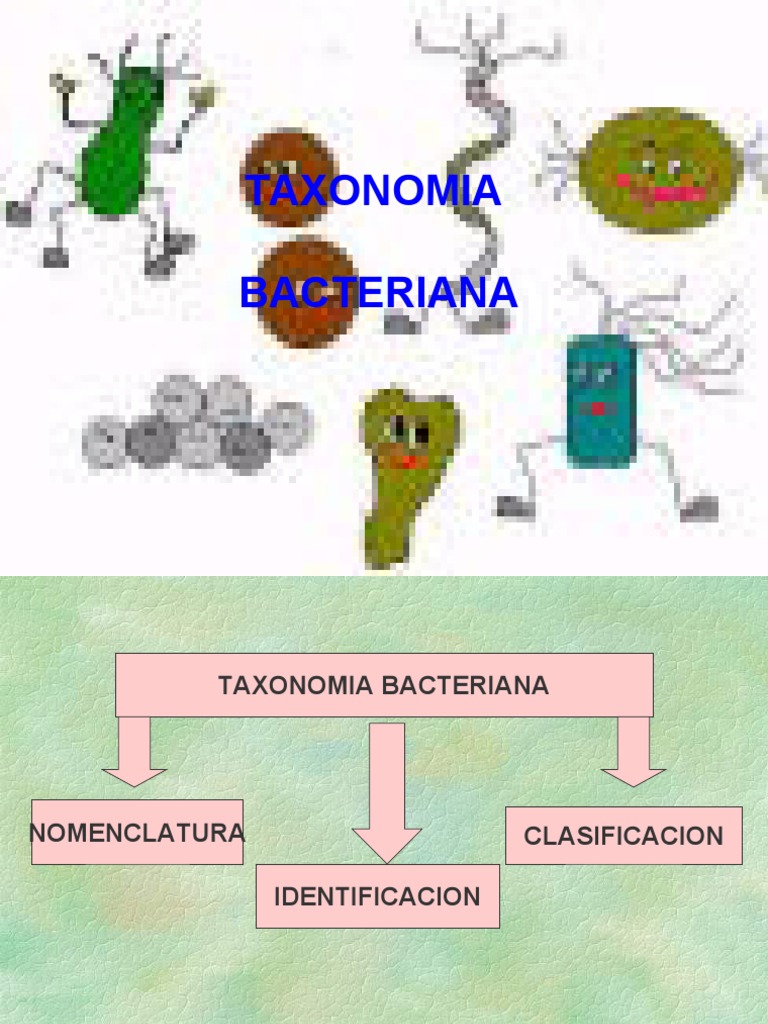 Taxonomia De Bacterias