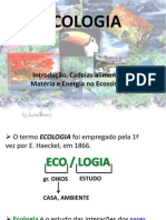 Bases de Ecologia