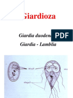 Curs 2-1 Giardia