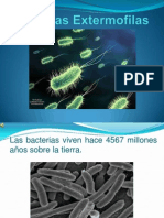 Bacteria Extermofilas
