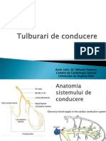 Curs 6 ECG Tulburari de Conducere