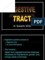Digestive Ss