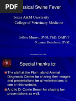 Classical1SwineFever.ppt