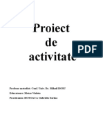 Trenul iernii - proiect de activitate