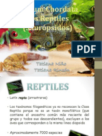 Reptiles