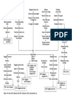 Woc Gastroenteritis