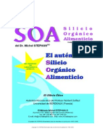 Soa Documento