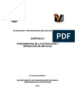 Capitulo I Fundamentos de La Extraccion y Refinacion de Metales Noviembre 2013