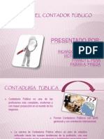 perfildelcontadorpblico-101017001715-phpapp02